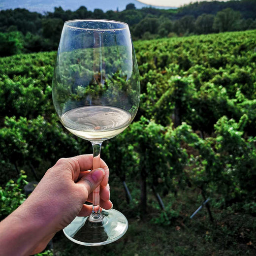 Bio-whatsits? Discover The World Of Biodynamic Winemaking
