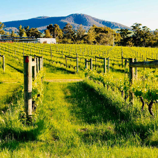 Bannockburn Winery | Victoria, Australia