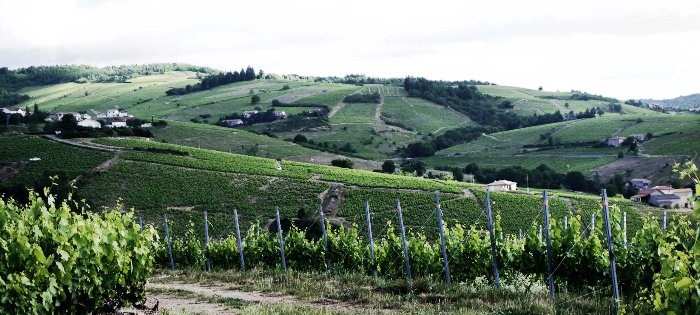 Domaine Daniel Bouland