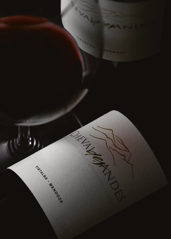 A bottle of 2019 Cheval Des Andes 3000ml Red Wine