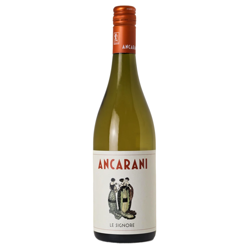 A bottle of 2021 Famoso Signore igt 750ml Wine Wine