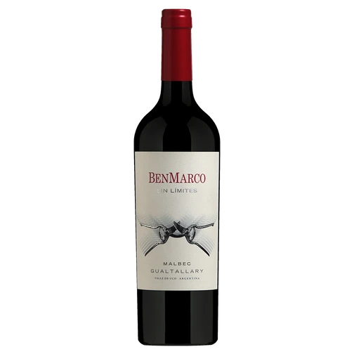 A bottle of 2022 BenMarco Sin Límites Gualtallary 750ml Red Wine