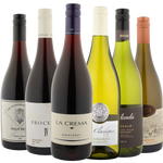 Pinot & Chardonnay Collective 6-Pack - Valued at $275