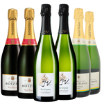 A Toast to Christmas Champagne 6-Pack