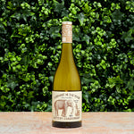Elephant In the Room Buttery Chardonnay 2023 featured image