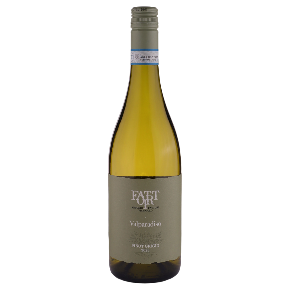 A bottle of 2023 Fattori ' Valparadiso' Pinot Grigio 750ml White Wine