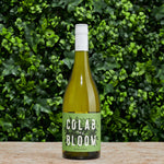 2023 Colab & Bloom Adelaide Hills Sauvignon Blanc featured image