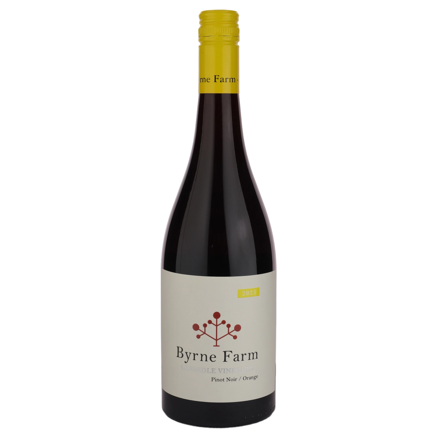 A bottle of 2023 Byrne Farm 'Glenidle Vineyard' Pinot Noir 750ml Red Wine