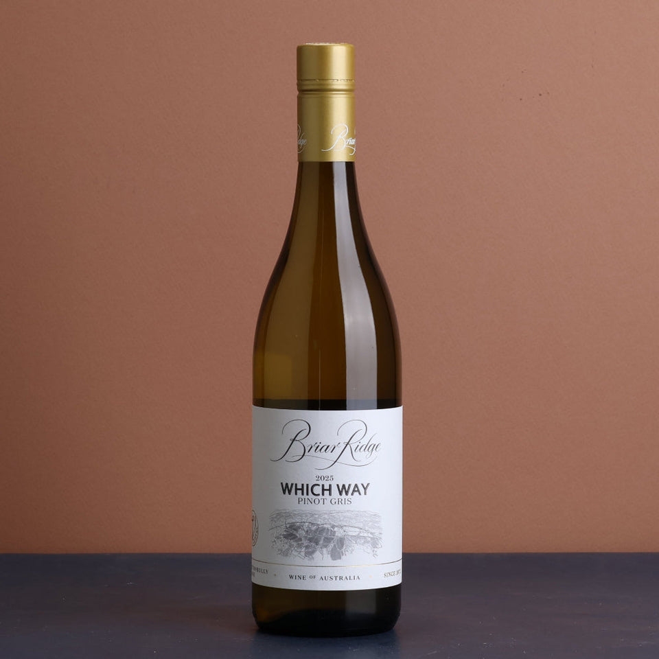 A bottle of Briar Ridge Which Way Pinot Gris 2025 750ml White Wine