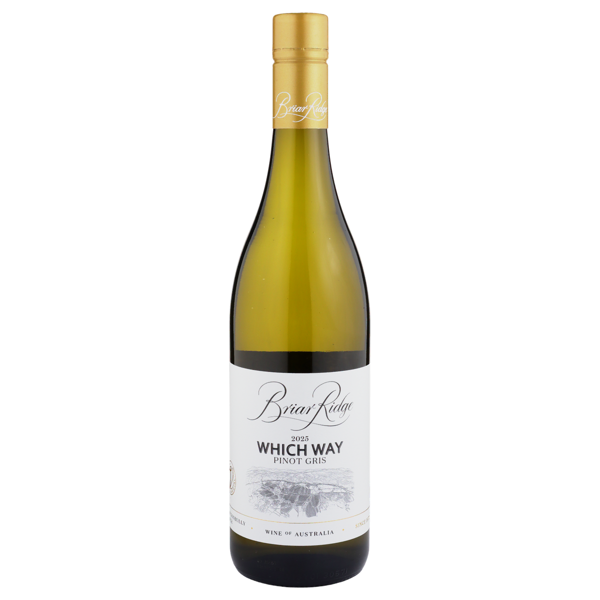 A bottle of Briar Ridge Which Way Pinot Gris 2025 750ml White Wine