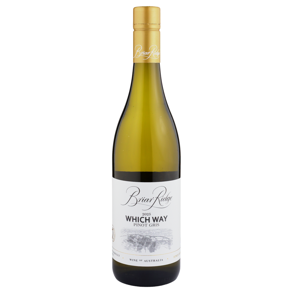 A bottle of Briar Ridge Which Way Pinot Gris 2025 750ml White Wine