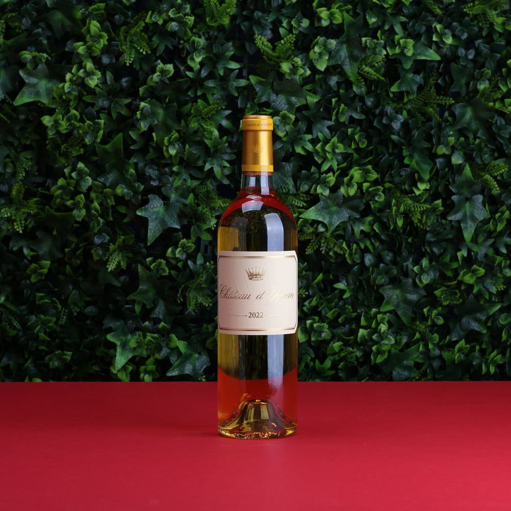 A bottle of 2022 Chateau Yquem 2022 750ml Fortified Wine
