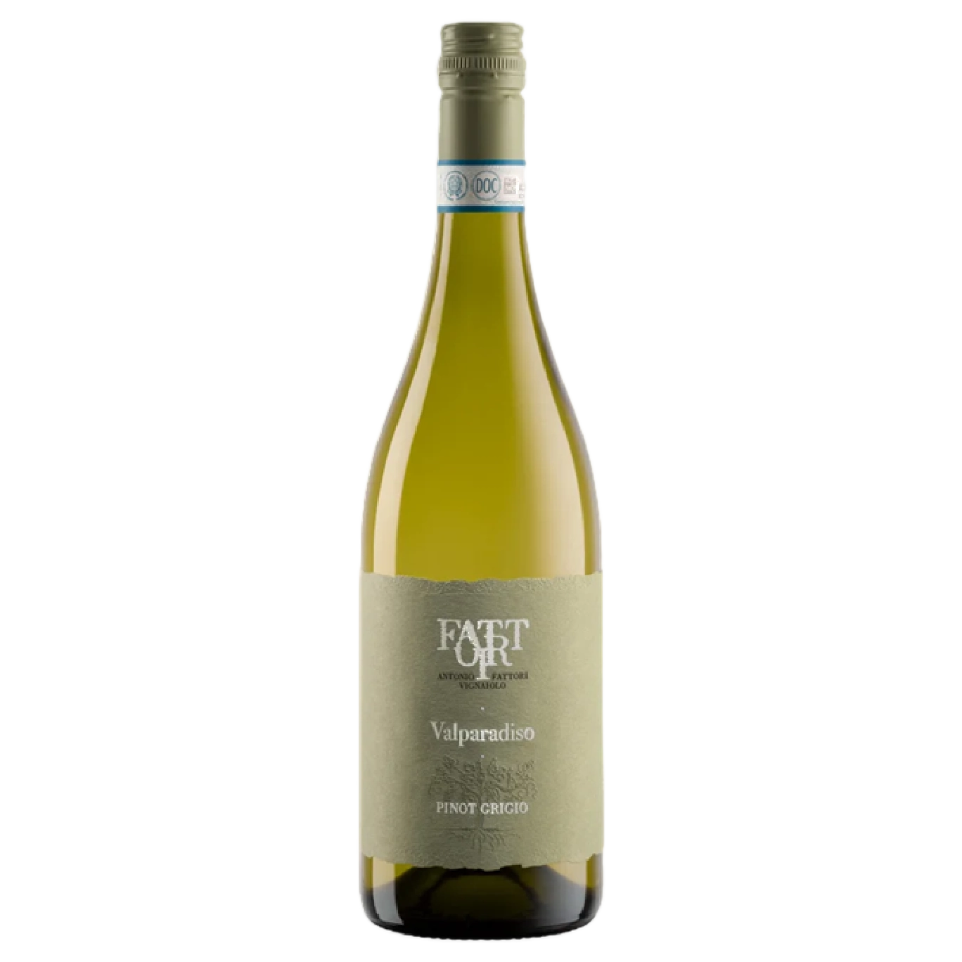 A bottle of 2024 Fattori Pinot Grigio DOC 'Valparadiso' 750ml White Wine