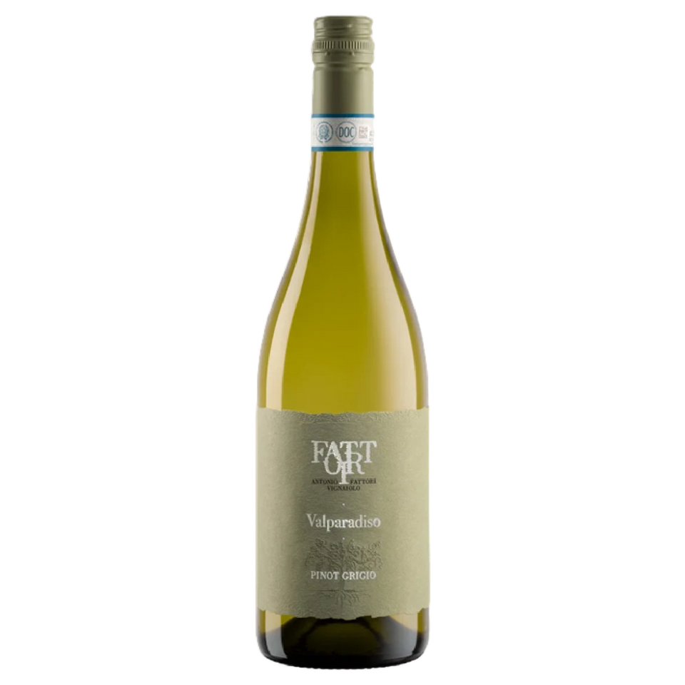 A bottle of 2024 Fattori Pinot Grigio DOC 'Valparadiso' 750ml White Wine