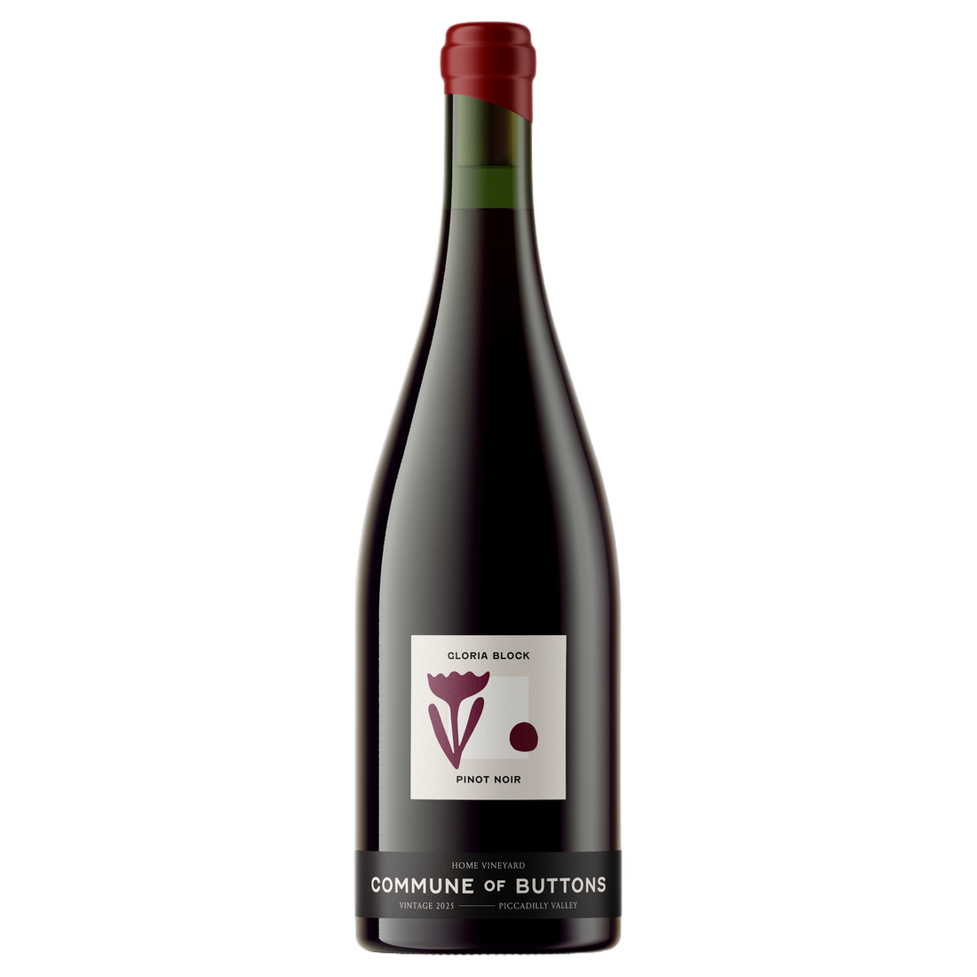 A bottle of 2025 Commune of Buttons Gloria Pinot Noir 750ml Red Wine