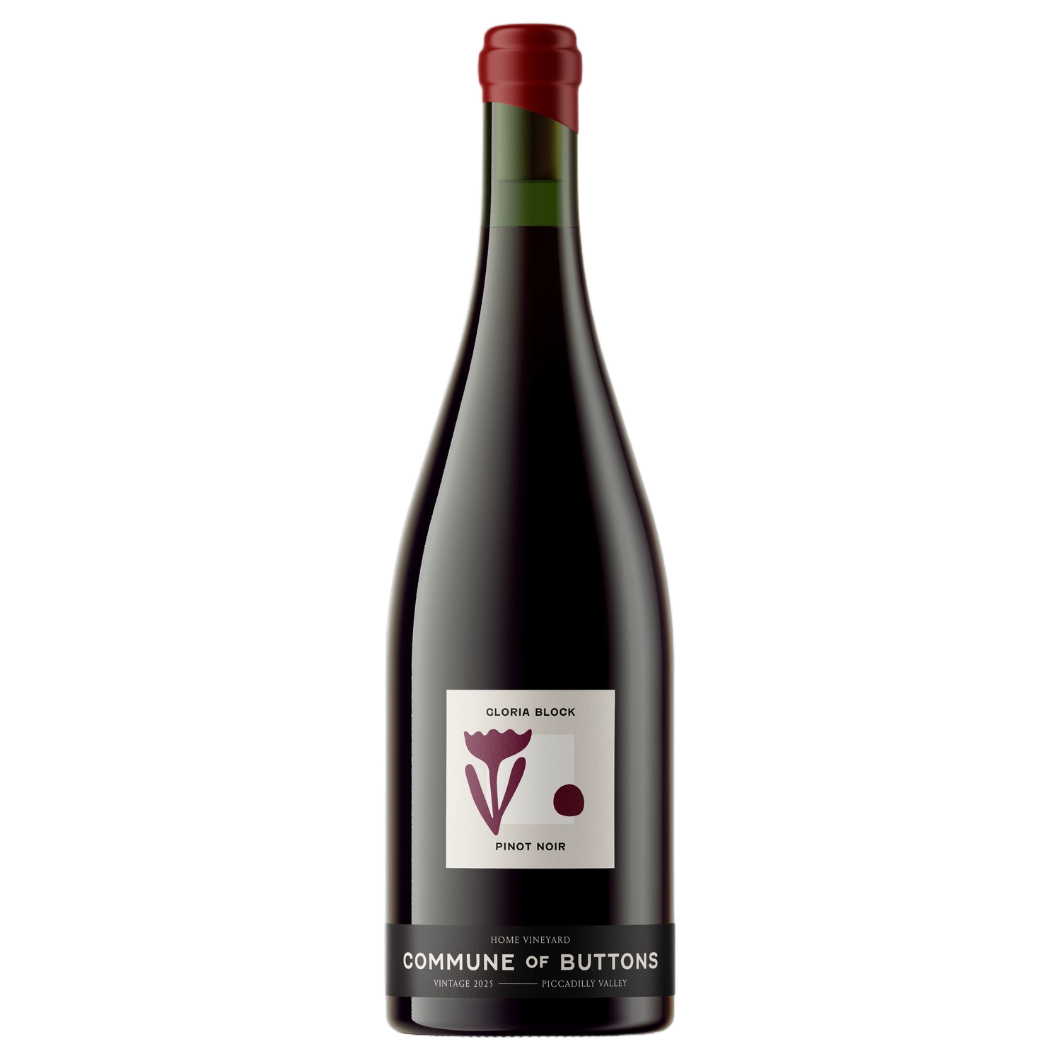 A bottle of 2025 Commune of Buttons Gloria Pinot Noir 750ml Red Wine