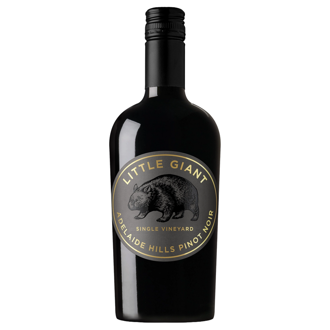 A bottle of 2025 Little Giant Single Vineyard Adelaide Hills Pinot Noir 750ml Red Wine