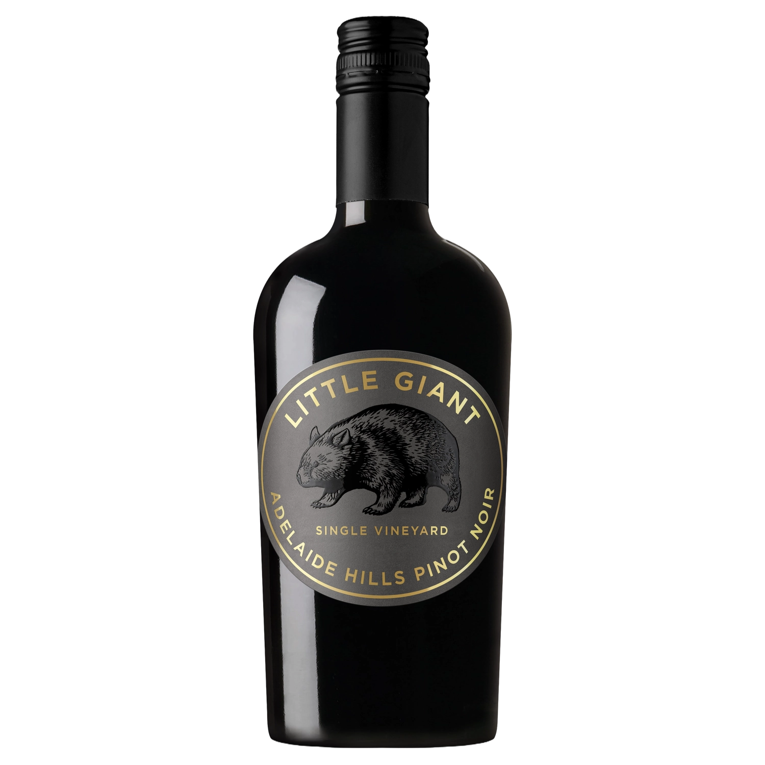 A bottle of 2025 Little Giant Single Vineyard Adelaide Hills Pinot Noir 750ml Red Wine