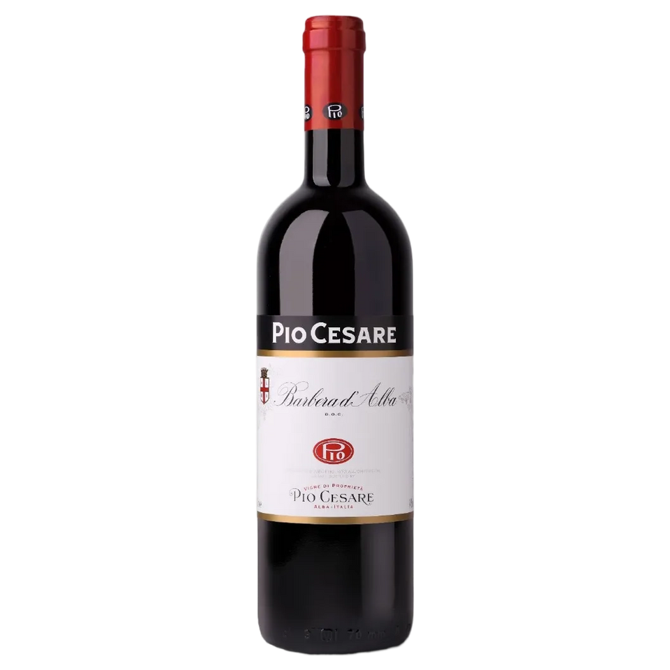 A bottle of Pio Cesare Barbera d'Alba DOC 2023 750ml Red Wine