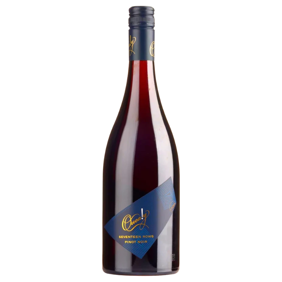 A bottle of Quealy Seventeen Rows Pinot Noir 2023 750ml Red Wine