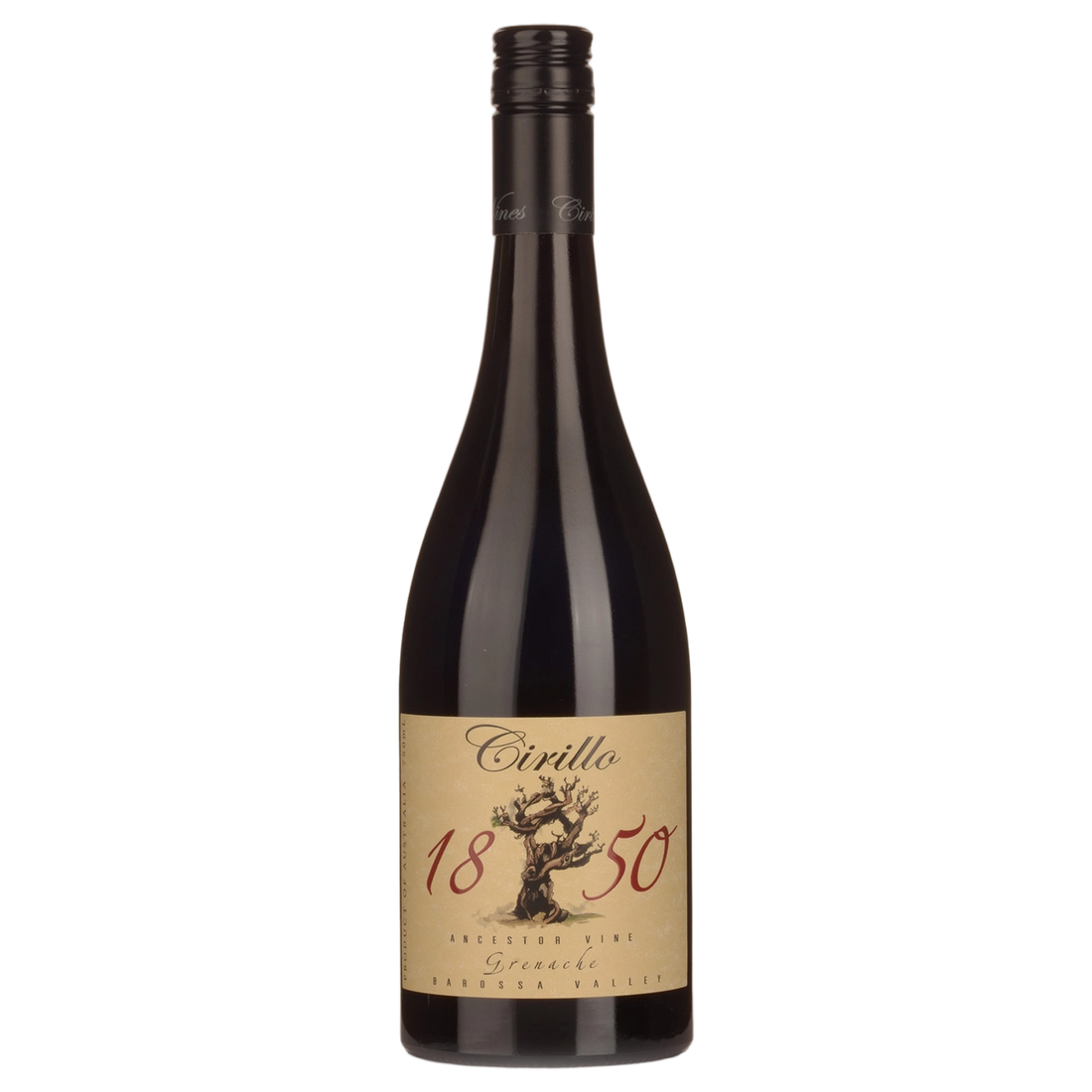 A bottle of Cirillo 1850 Ancestor Vine Grenache 2019 Magnum 1500ml Red Wine