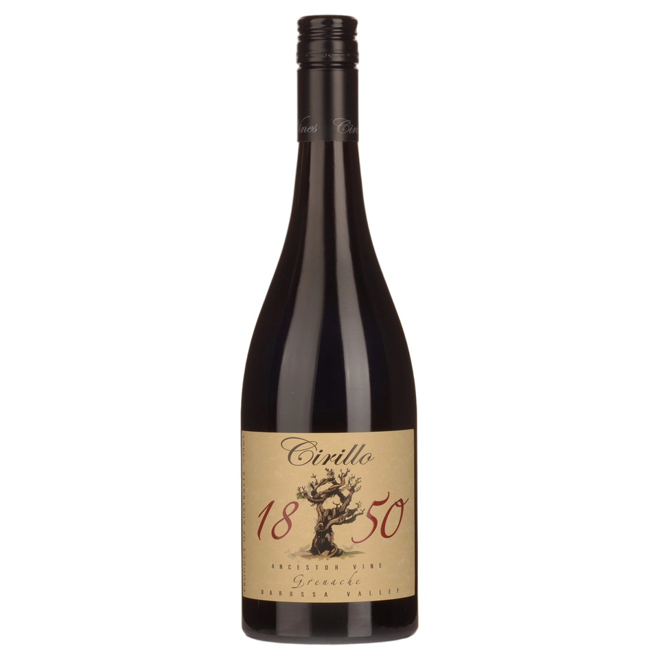A bottle of Cirillo 1850 Ancestor Vine Grenache 2019 Magnum 1500ml Red Wine