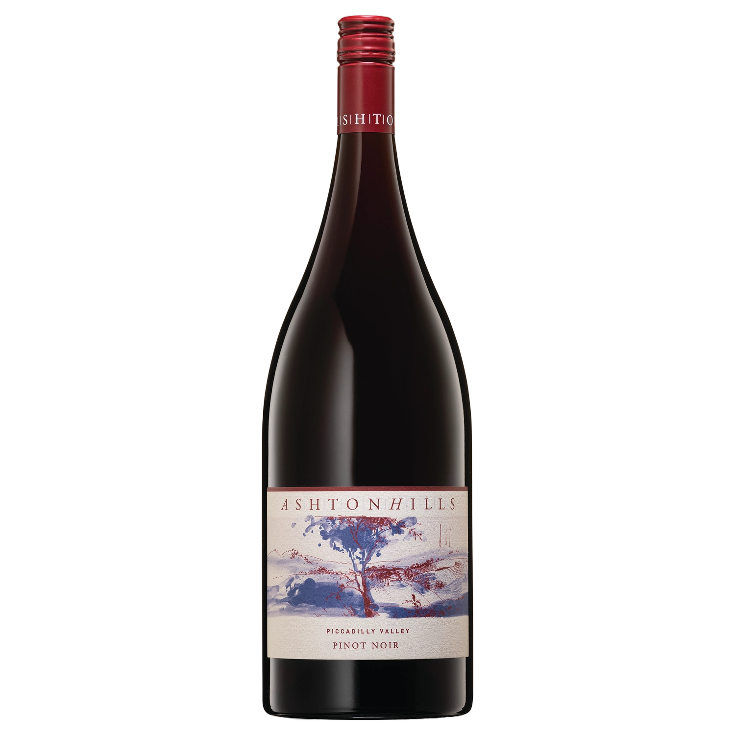 A bottle of Ashton Hills Piccadilly Valley Pinot Noir 2024 1500ml Red Wine
