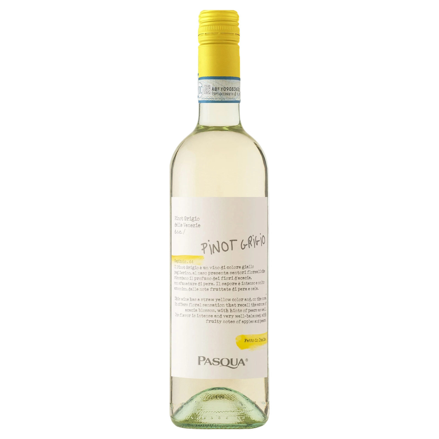 A bottle of Pasqua Pinot Grigio Delle Venezie DOC 2024 750ml White Wine