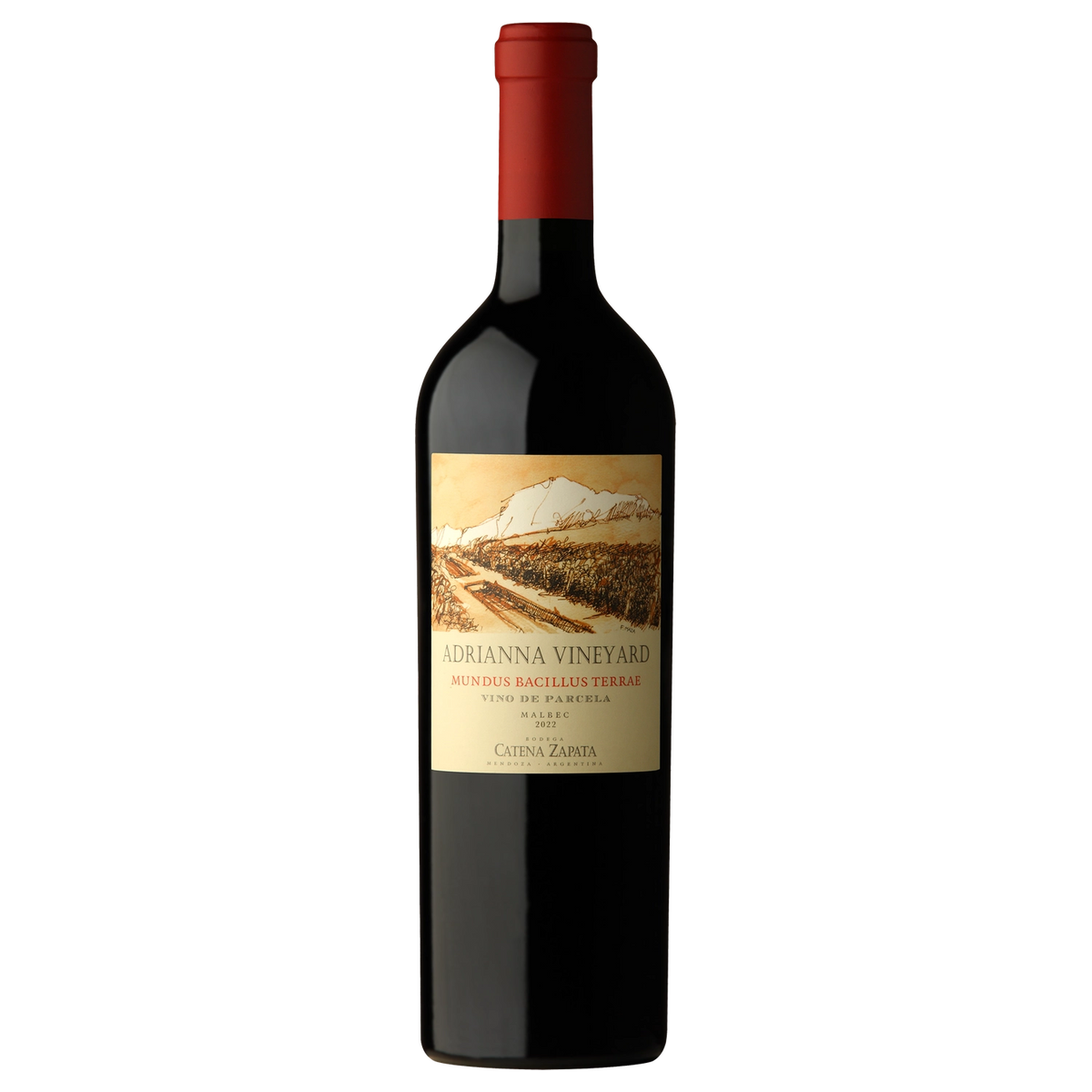 A bottle of Mundus Bacillus Terrae 2018 750ml Red Wine