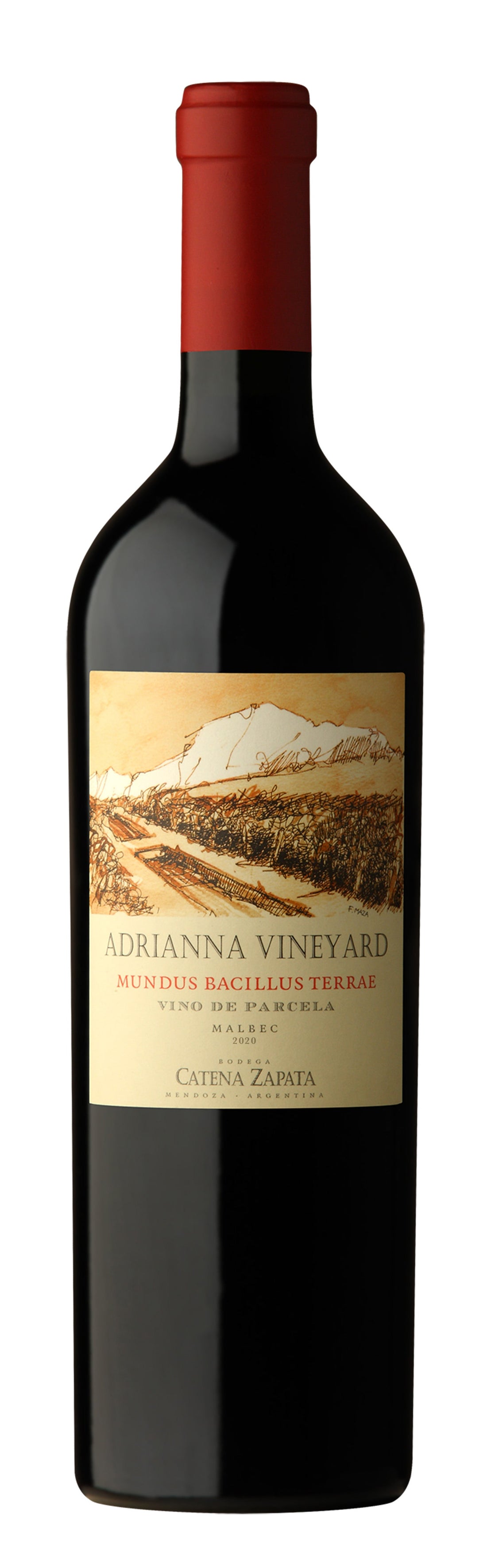 2020 Mundus Bacillus Terrae (ITM364157) single bottle shot