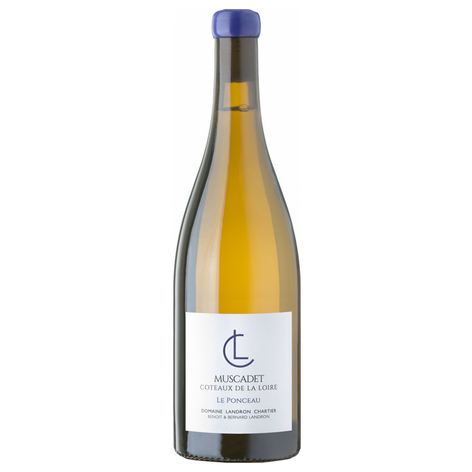 A bottle of 2019 Domaine Landron Chartier Muscadet Le Ponceau 750ml White Wine