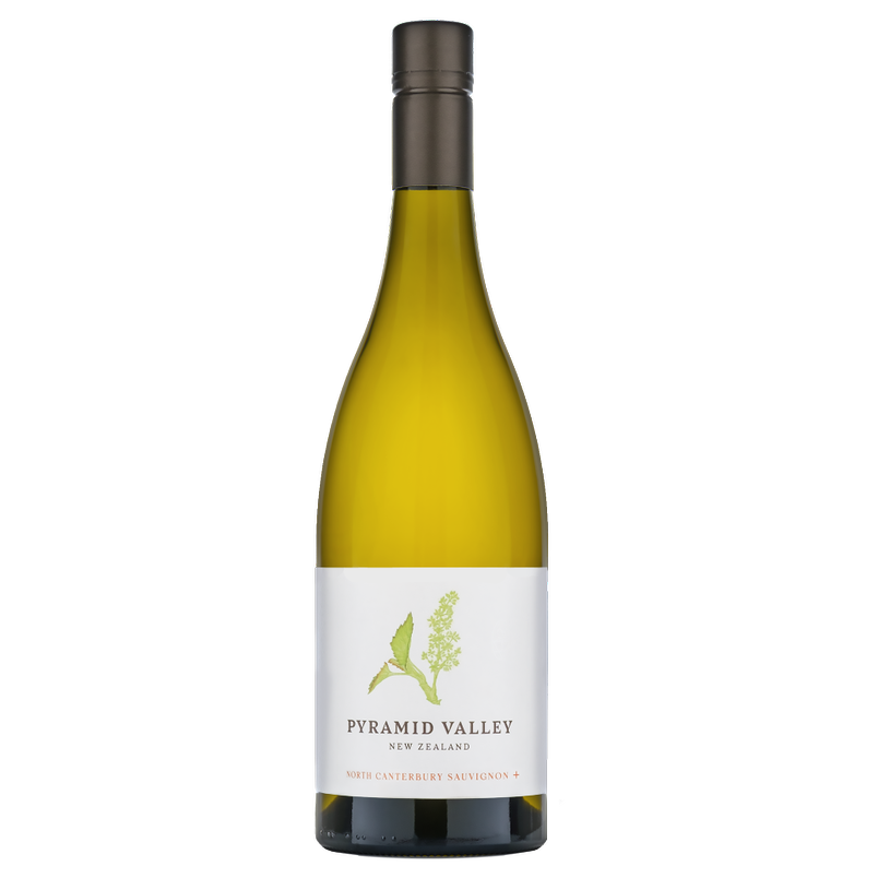 2021 Pyramid Valley North Canterbury Sauvignon + (ITM234132) single bottle shot