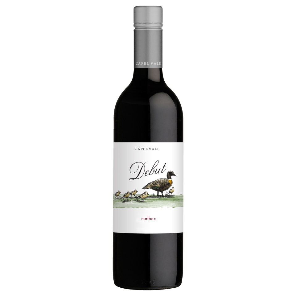 2019 Capel Vale Debut Malbec (ITM57135) single bottle shot