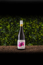 2020 Palliser Estate Luminary Pinot Noir featured image