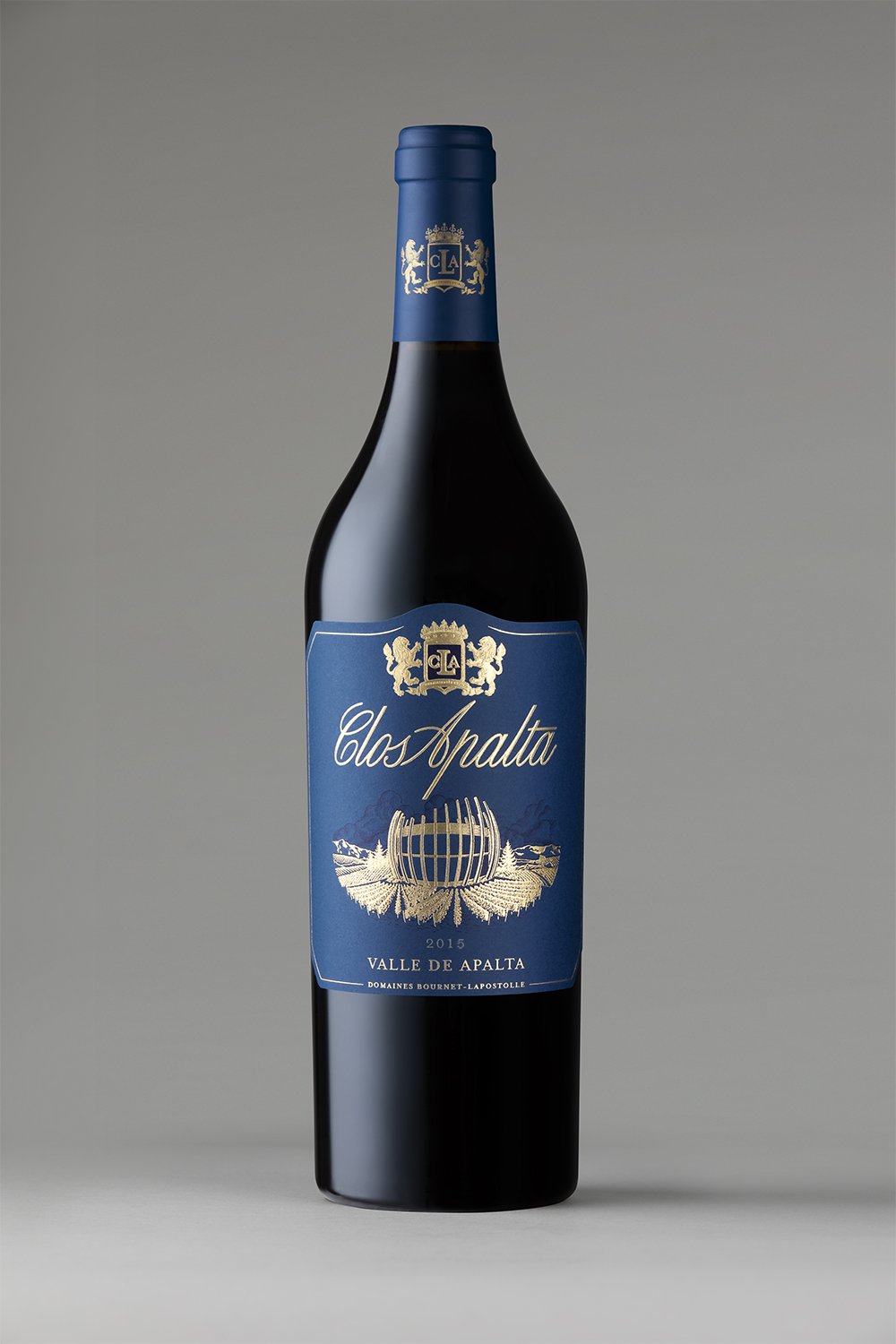 2010 Clos Apalta 1500ml (ITM58533) single bottle shot