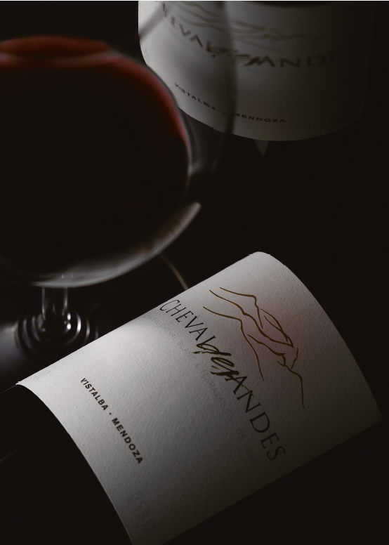 2018 Cheval des Andes (ITM208251) single bottle shot